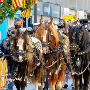 Reformas Integrales, Serra